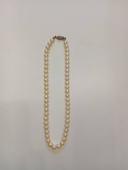 アコヤパールレディースネックレス シルバー刻印 金メッキ - メルカリ