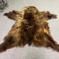 【美品 天然物】月の輪熊 毛皮 敷物 美品 天然物】月の輪熊 毛皮 敷物