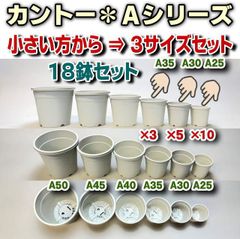 カネヤ生産者仕様＊カントーAシリーズプラ鉢＊小さい方から3サイズ：A-25×10鉢、A-30×5鉢、A-35×3鉢の計18鉢セット＊多肉植物・塊根植物コーデックス・アガベ・サボテン・盆栽・観葉・ハオルチア・アデニウム・パキポディウム・実生＠フラワーショップ江口