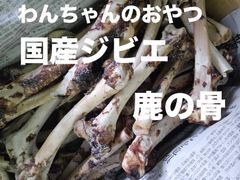 犬のおやつ  ジビエ 鹿の骨 中 100%オーガニックわんちゃんのおやつ