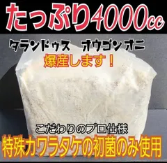 タランドゥスが大きくなる！極上！カワラタケ菌糸瓶【12本】特殊アミノ酸強化配合！ 極上！カワラタケ菌糸瓶【6本】特大1500ml 特殊アミノ酸強化配合