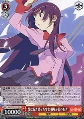 2025年最新】蟹に行き遭った少女 戦場ヶ原 ひたぎの人気アイテム