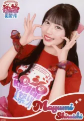 【中古】生写真(女性) SWEET STEADY/白石まゆみ/上半身/「有吉ジャポンII presents ジロジロ KAWAII 夏祭り 2025」ランダムブロマイド