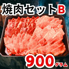 焼肉セットB 900g /セット人気NO１ 王道肉 カルビ タン ハラミ BBQ おうち焼肉 3名向き お得 焼肉パーティ