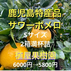 植屋果樹園（ゆめking） - メルカリShops