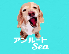 shop-thumbnail
