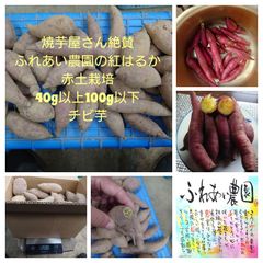 ふれあい農園の紅はるか　焼芋屋お墨付き　箱込み2.5キロ　100g以下のチビ芋
