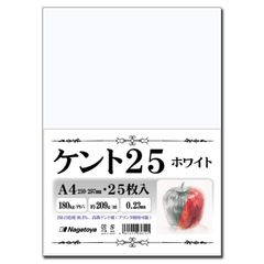 【特価】長門屋商店 【 限定】高級ケント紙 〈ケント25〉 スケッチ・イラスト 漫画・コミック用紙 180kg A4 ホワイト