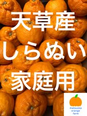 不知火　家庭用　箱込20kg