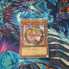 ヴァンガード BUSHIROAD EXPO 2025 員弁ナオ スリーブ 70枚