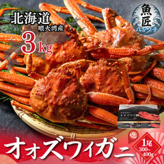 【北海道産】 オオズワイガニ 3.0kg 姿 ボイル (7-9尾) 化粧箱 ギフト 贈答用 北海道産 北海道 カニ 蟹 ズワイガニ