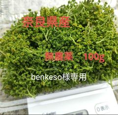 奈良県産】無農薬 山椒(木の芽)新芽 花山椒 - メルカリ