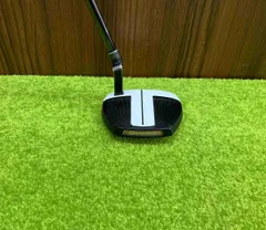 2025年最新】TAYLOR MADE(テーラーメイド) SPIDER FCG(スパイダーFCG