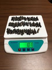 工場直売　関西産　A級品 乾燥なまこSSS 100g50匹 (計量時100g53本)