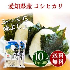 愛知県産 コシヒカリ 白米 10kg お米 10キロ