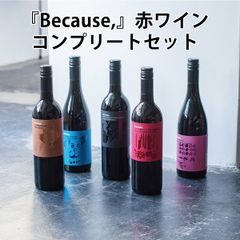 Because,(ビコーズ) 赤ワイン コンプリート 5本セット