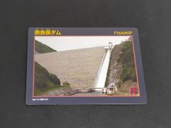 nv15 ラージャン モンハン 10枚セット スリーブ キャラスリ