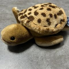 海亀 アースウィンド セキグチ ウミガメ Earth Wind ぬいぐるみ - メルカリ