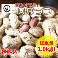 新豆令和4年産千葉県産Qなっつ さや煎り落花生1kg(500g×2袋)ピーナッツ