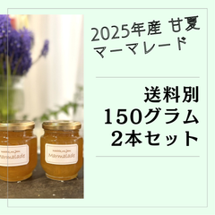 【手渡し専用】無添加・手作り 甘夏マーマレード（150g×2本）