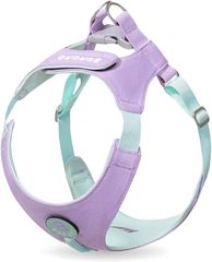 Item thumbnail for item 99c1c349-5758-4415-8a36-bec617a580f2