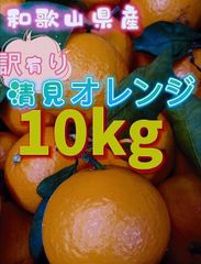 清見オレンジ 10kg 訳あり 和歌山県産