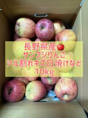 長野県産★サンフジりんご★ツル割れキズ日焼け★10kg