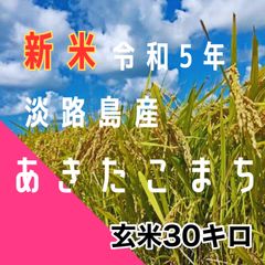 新米　令和5年産　あきたこまち　玄米30キロ　淡路島産　産地直送　数量限定