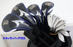 ツアーステージ アイアン V773 6〜p AW SW フレックスR ゴルフ