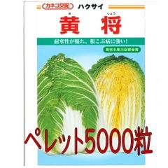カネコ種苗　黄将　白菜　ペレット５０００粒