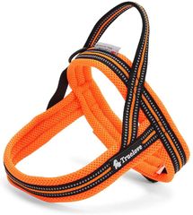 Item thumbnail for item f2e34dbb-3624-40b1-8b31-1ec61570e8c5