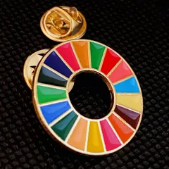 SDGsバッジ！SDGs バッジ　平らタイプ一個！！郵送料上がるため、50円値上げのサムネイル
