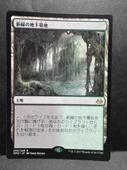 2025年最新】新緑の地下墓地の人気アイテム - メルカリ