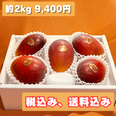 アーウィン秀品 5玉 約2kg