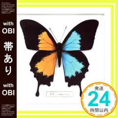 2025年最新】音色 / Break it down [ FLOW ]の人気アイテム