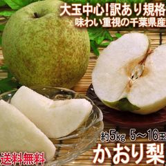 【予約:8/30～9/25予定】かおり梨 約5kg 5～16玉 訳あり品 千葉県産 家庭用 生産量の少ない幻の梨！爽やかな甘い香りと優秀な味わい