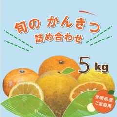 【超お買い得】愛媛県産　訳あり旬の柑橘詰め合わせ５ｋｇ補償有