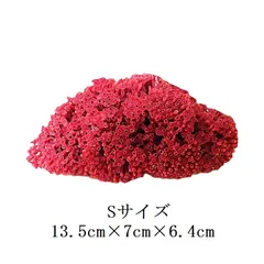 2026年最新】パイプオルガンサンゴの人気アイテム - メルカリ