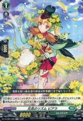 wile Dress Season3 羽根山ウララ　ドロートリガー 4枚 will+Dress Season2 羽根山ウララ(PR)(D-PR/482) | プロモ