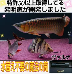 2025年最新】ヴァルナミニの人気アイテム - メルカリ