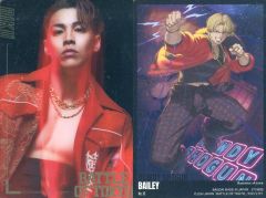[중고] 컬렉션 카드 (남성) No.10 : ROWDY SHOGUN ≠ THE RAMPAGE / RIKU (BAILEY) / [BATTLE OF TOKYO 스틱 웨이퍼] 메탈릭 플래 카드
