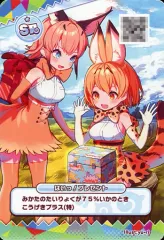 Amazon.co.jp: けものフレンズ3 プラネットツアーズ aimeカード