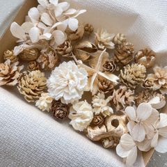 ドライフラワー ドライ ナッツ 木の実 詰め合わせ セットˎˊ˗ ホワイト　ゴールド　ナチュラルミックス  ホワイトゴールド　　No.57