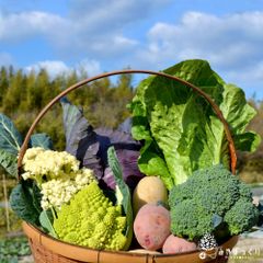 ❄️冬野菜のベジパレード❄️ -100サイズ-