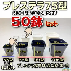 プレステラ75-(硬質スリットポット/スリット鉢2号相当)-黒・白・混色⇒50鉢セット販売＊＠多肉植物・塊根植物コーデックス・アガベ・サボテン・盆栽・観葉・ハオルチア・アデニウム・パキポディウム・実生＠フラワーショップ江口のサムネイル