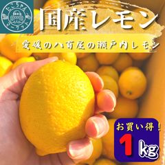 【ご家庭用★国産レモン】愛媛県産　八百屋の瀬戸内レモン　1Kgのサムネイル