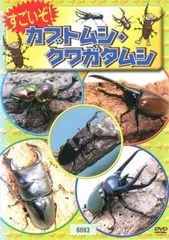 すごいぞ!カブトムシ・クワガタムシ【アニメ 中古 DVD】レンタル落ち