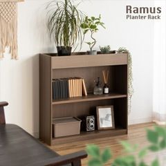 美品 ACTUS REVE シェルフのみ 上棚 ブックスタンド 本棚 木製家具