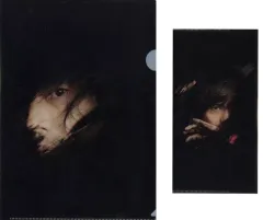 2025年最新】宮本浩次 クリアファイルの人気アイテム - メルカリ