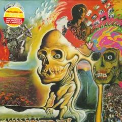 2025年最新】Flaming lips レコードの人気アイテム - メルカリ